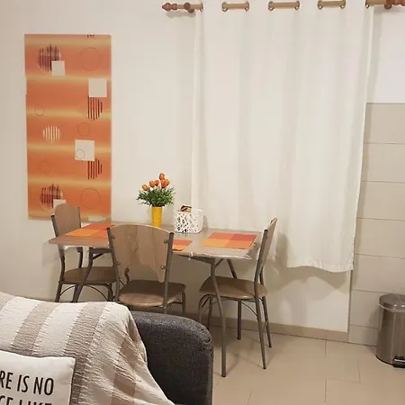 Orange Brist Daire Pula