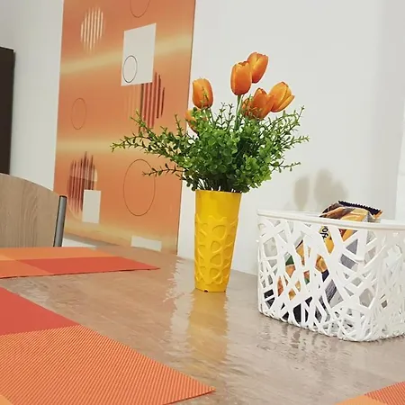 Daire Orange Brist Pula