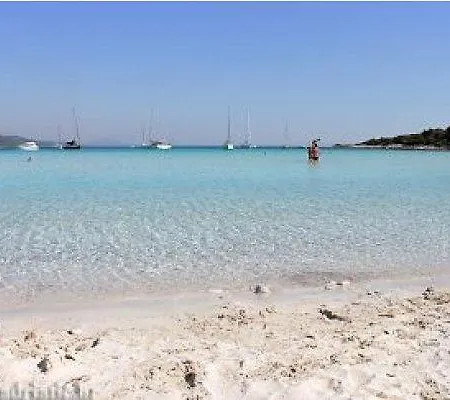 Apartment Orange Brist