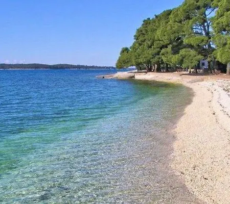 Apartment Orange Brist *