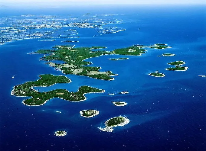 Orange Brist Пула