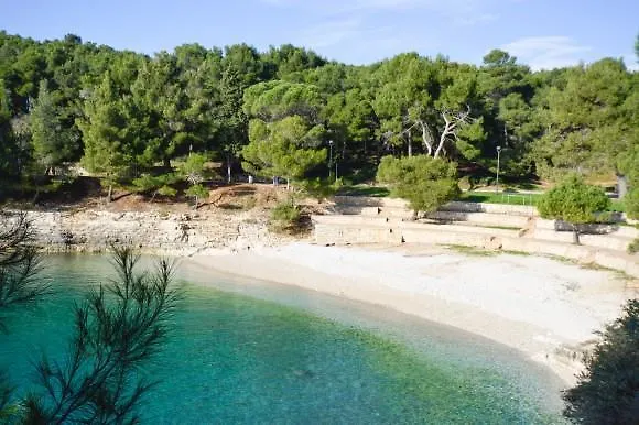 Apartment Orange Brist *