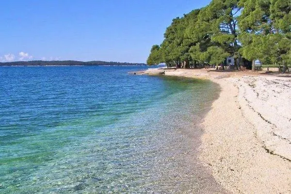 Apartment Orange Brist *